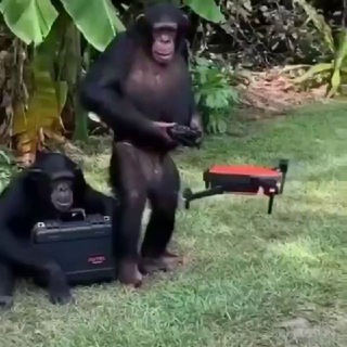 Telegram Channel logo instruct10ns. Free Telegram Channel Analytics