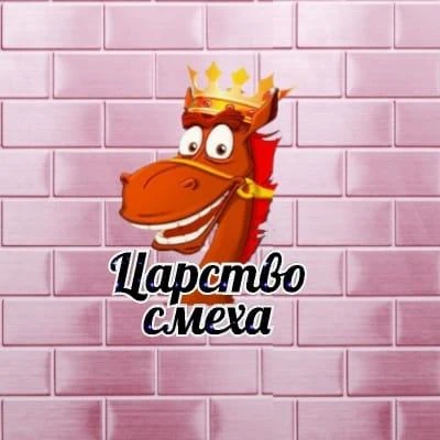 Telegram Channel logo carstvo_smekha. Free Telegram Channel Analytics