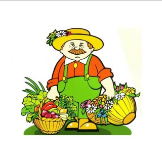 Логотип Телеграм канала . Бесплатная аналитика Telegram каналов