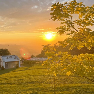 Логотип Телеграм канала Under the sun. Бесплатная аналитика Telegram каналов