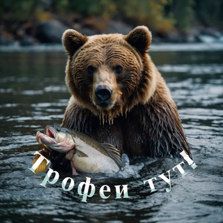 Логотип Телеграм канала rf4_trof. Бесплатная аналитика Telegram каналов