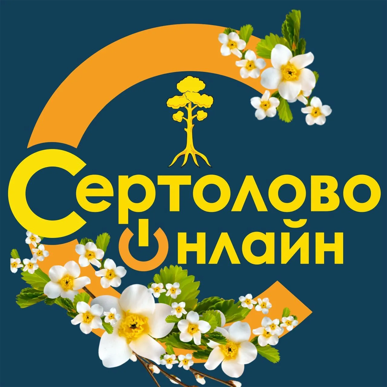 Telegram Channel logo sertolovoonline. Free Telegram Channel Analytics