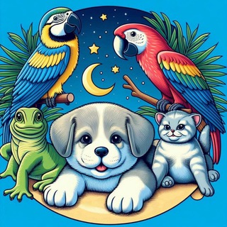 Telegram Channel logo ZooStores. Free Telegram Channel Analytics