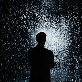 Логотип Телеграм канала zumerymi. Бесплатная аналитика Telegram каналов