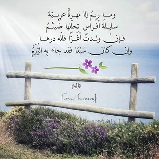 Логотип Телеграм канала تغريدة قلبٍ فَتِيّ. Бесплатная аналитика Telegram каналов