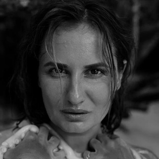 Логотип Телеграм канала . Бесплатная аналитика Telegram каналов