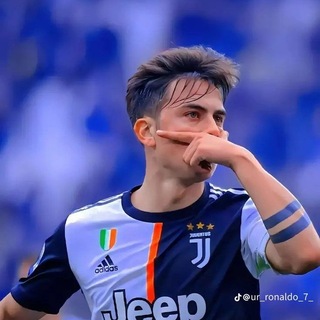 Telegram Channel logo . Free Telegram Channel Analytics