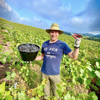 Логотип Телеграм канала . Бесплатная аналитика Telegram каналов