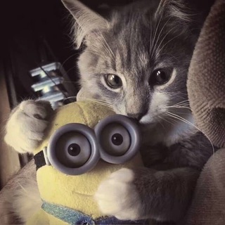 Telegram Channel logo bbeessit. Free Telegram Channel Analytics