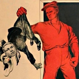 Telegram Channel logo majordynin. Free Telegram Channel Analytics