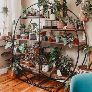 Логотип Телеграм канала . Бесплатная аналитика Telegram каналов