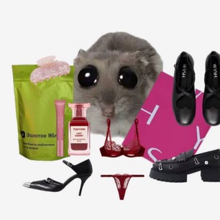 Логотип Телеграм канала beautydyson. Бесплатная аналитика Telegram каналов