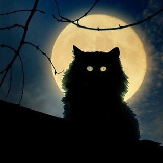 Логотип Телеграм канала Balzac. Бесплатная аналитика Telegram каналов