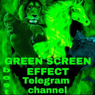 Telegram Channel logo Green screen effect. Free Telegram Channel Analytics