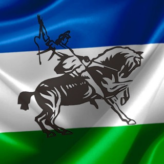 Логотип Телеграм канала maximum_bash. Бесплатная аналитика Telegram каналов