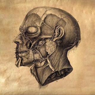 Telegram Channel logo +7jNC5SjbQWBmN2Ni. Free Telegram Channel Analytics