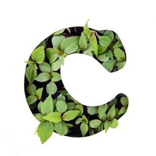 Telegram Channel logo sterlitama4. Free Telegram Channel Analytics