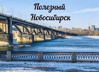 Логотип Телеграм канала free_sib. Бесплатная аналитика Telegram каналов