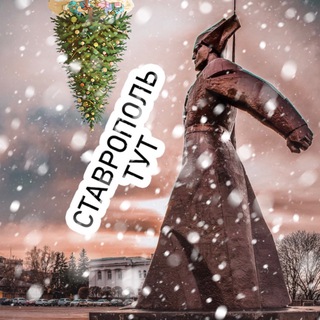 Логотип Телеграм канала stav_life_official. Бесплатная аналитика Telegram каналов