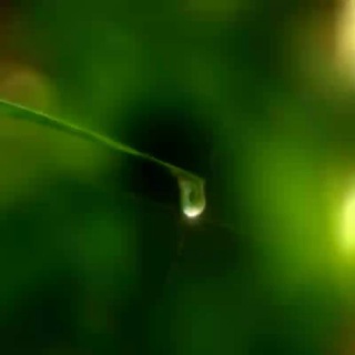 Telegram Channel logo Alles was du zum Leben brauchst. Free Telegram Channel Analytics