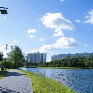 Логотип Телеграм канала dmitrovskiychat. Бесплатная аналитика Telegram каналов