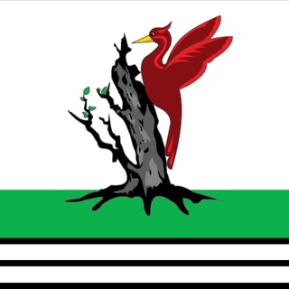 Логотип Телеграм канала elabuga_light. Бесплатная аналитика Telegram каналов