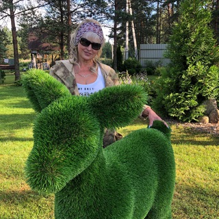 Логотип Телеграм канала . Бесплатная аналитика Telegram каналов