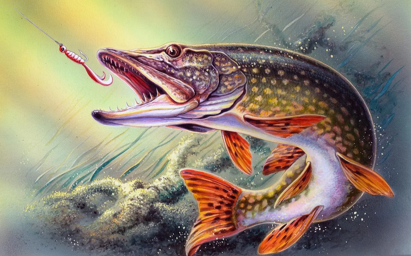 Telegram Channel logo rybalka555. Free Telegram Channel Analytics