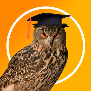 Telegram Channel logo school_textbook. Free Telegram Channel Analytics