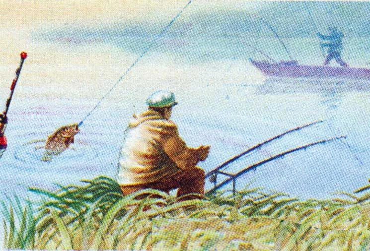 Логотип Телеграм канала fishes43. Бесплатная аналитика Telegram каналов