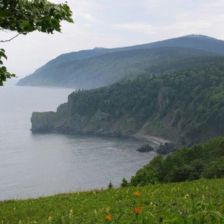 Telegram Channel logo sovgavan. Free Telegram Channel Analytics