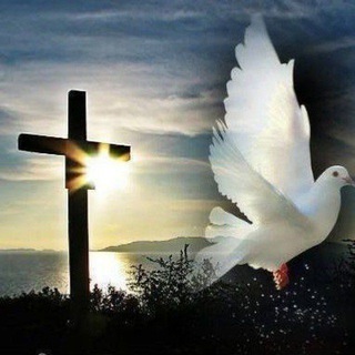 Логотип Телеграм канала . Бесплатная аналитика Telegram каналов