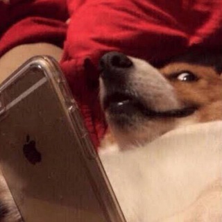 Telegram Channel logo . Free Telegram Channel Analytics