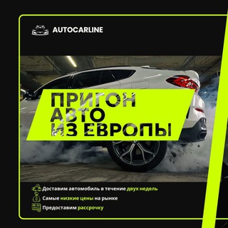 Логотип Телеграм канала . Бесплатная аналитика Telegram каналов