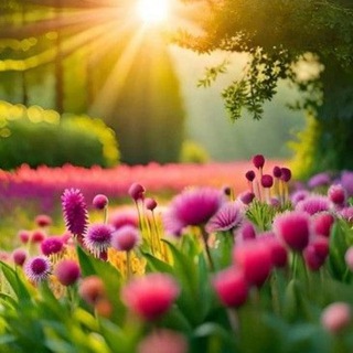 Логотип Телеграм канала v_volshebno. Бесплатная аналитика Telegram каналов