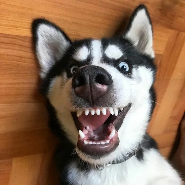 Telegram Channel logo xc02s73iujlbe-zhmoemtjch0zzk9ytq9mzqn-kowvw. Free Telegram Channel Analytics