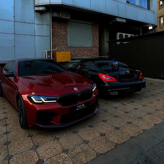 Telegram Channel logo . Free Telegram Channel Analytics