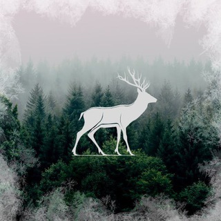 Логотип Телеграм канала . Бесплатная аналитика Telegram каналов