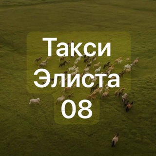 Логотип Телеграм канала taxi_elista08. Бесплатная аналитика Telegram каналов