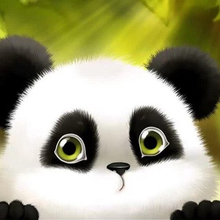 Telegram Channel logo Crypto panda. Free Telegram Channel Analytics