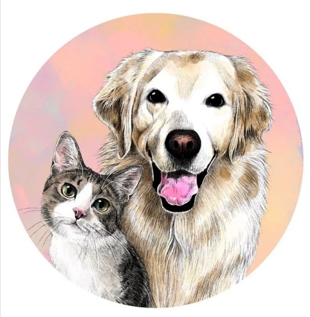 Telegram Channel logo prazdnik_otkrytky. Free Telegram Channel Analytics