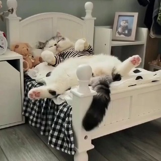 Логотип Телеграм канала buntpushistyh. Бесплатная аналитика Telegram каналов