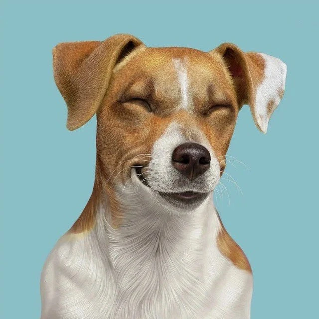 Логотип Телеграм канала mydogsru. Бесплатная аналитика Telegram каналов