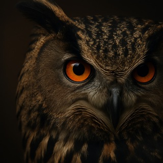 Логотип Телеграм канала bd_filin. Бесплатная аналитика Telegram каналов