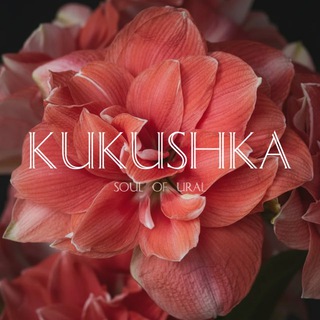 Логотип Телеграм канала . Бесплатная аналитика Telegram каналов