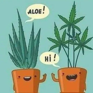 Telegram Channel logo Ganz mein Humor für die Endzeit. Free Telegram Channel Analytics