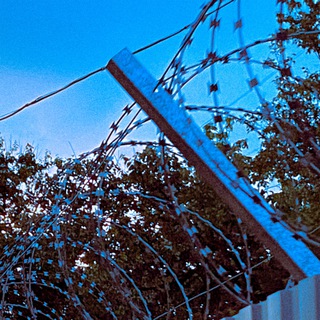 Логотип Телеграм канала . Бесплатная аналитика Telegram каналов