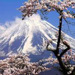 Telegram Channel logo japan_med. Free Telegram Channel Analytics