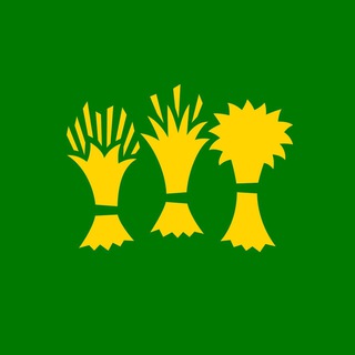 Логотип Телеграм канала penzakstati. Бесплатная аналитика Telegram каналов