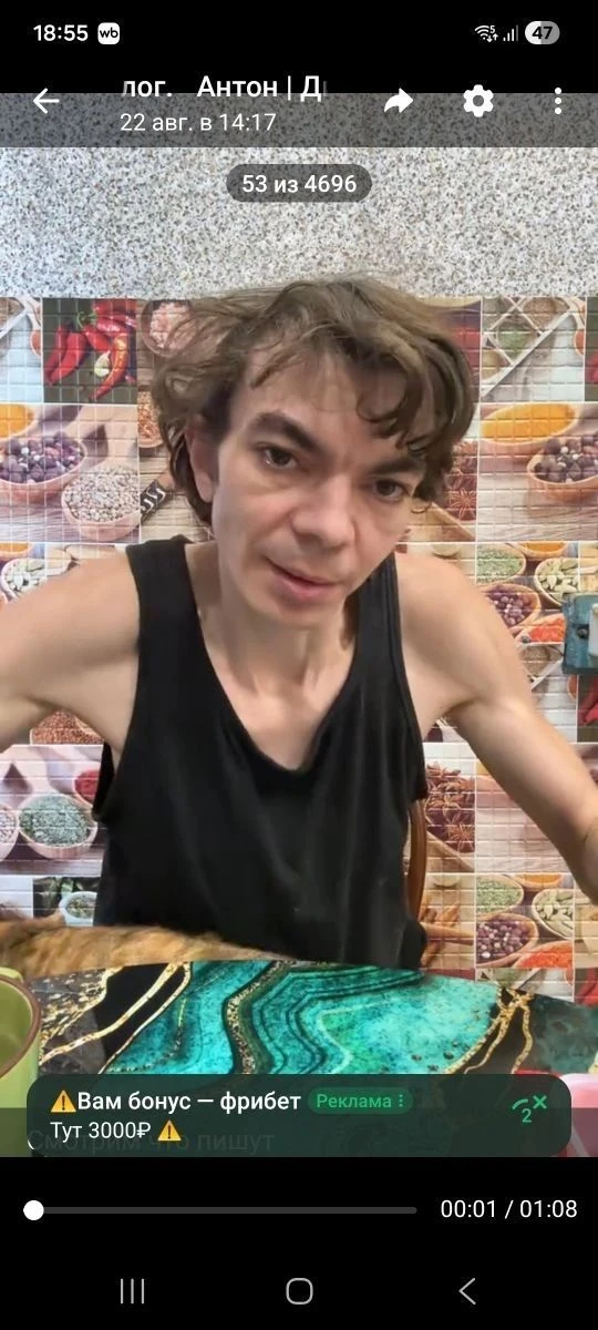 Логотип Телеграм канала dina_anton. Бесплатная аналитика Telegram каналов